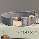 Collier et laisse en velours pour chien - Gray Collar / S