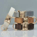 Collier et laisse en velours pour chien