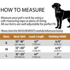 Collier et laisse en velours pour chien
