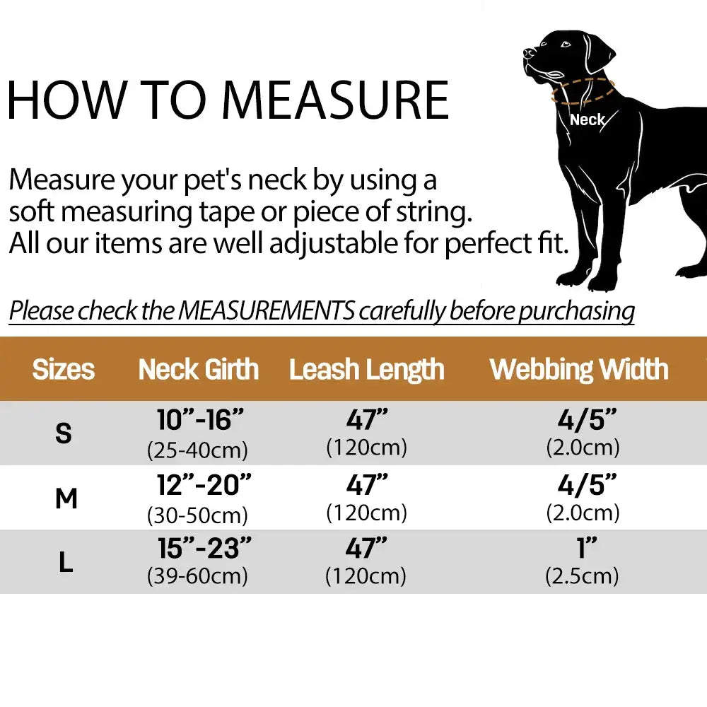 Collier et laisse en velours pour chien