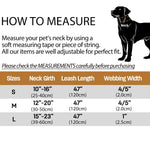 Collier et laisse en velours pour chien