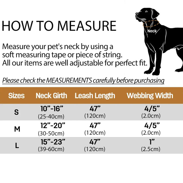 Collier et laisse en velours pour chien