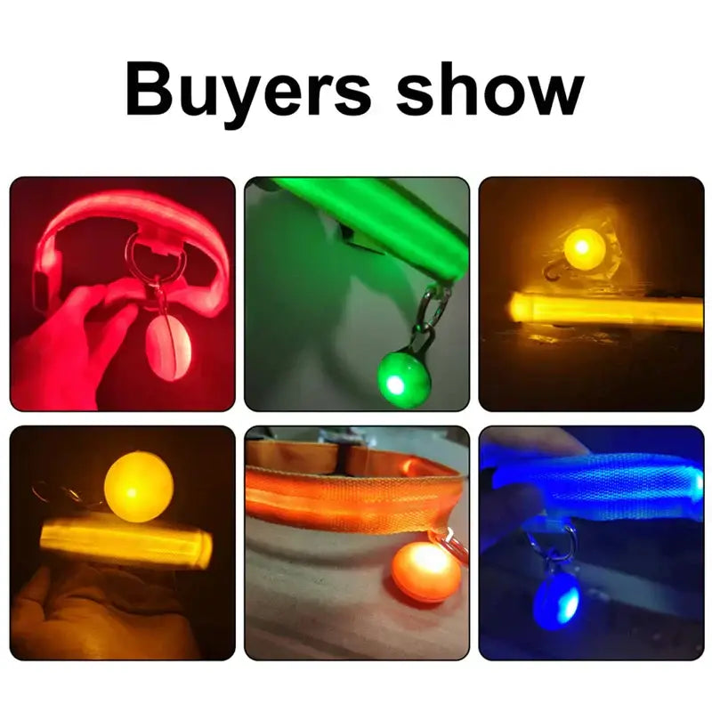Collier lumineux LED pour animaux de compagnie