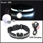 Collier lumineux LED pour animaux de compagnie - Black USB / S Neck 34-41 CM