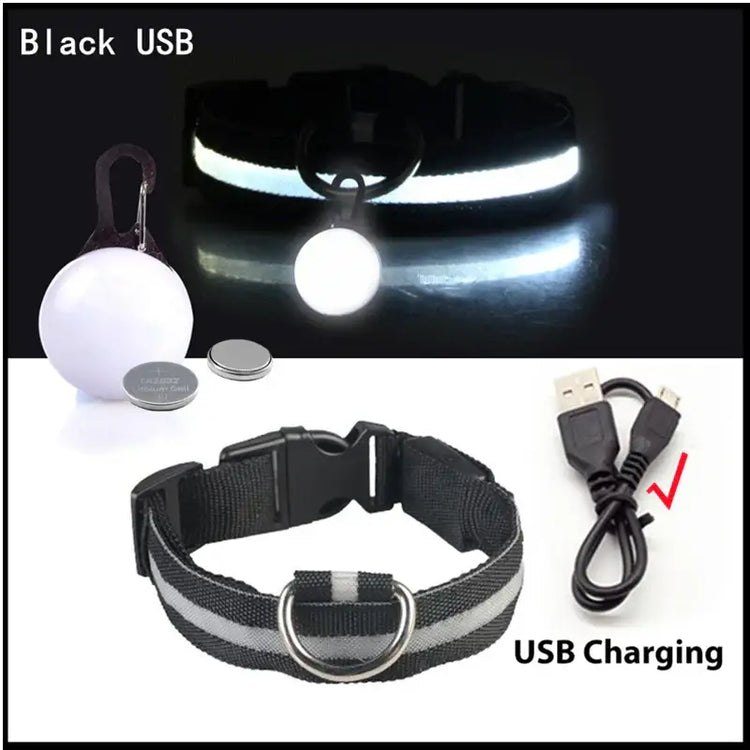Collier lumineux LED pour animaux de compagnie - Black USB / S Neck 34-41 CM