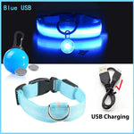 Collier lumineux LED pour animaux de compagnie - Blue USB / S Neck 34-41 CM