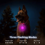 Collier lumineux LED pour animaux de compagnie