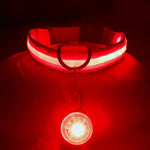 Collier lumineux LED pour animaux de compagnie