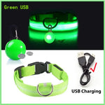 Collier lumineux LED pour animaux de compagnie - Green USB / S Neck 34-41 CM