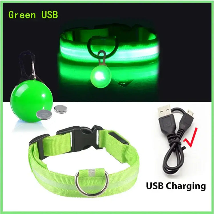Collier lumineux LED pour animaux de compagnie - Green USB / S Neck 34-41 CM