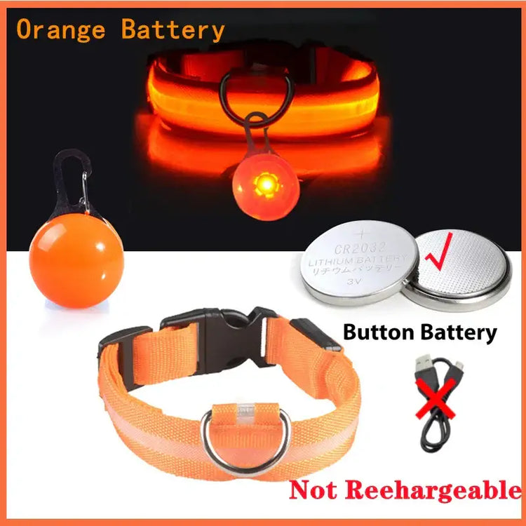 Collier lumineux LED pour animaux de compagnie - Orange ButtonBattery / XXL Neck 43-62 CM