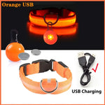 Collier lumineux LED pour animaux de compagnie - Orange USB / S Neck 34-41 CM