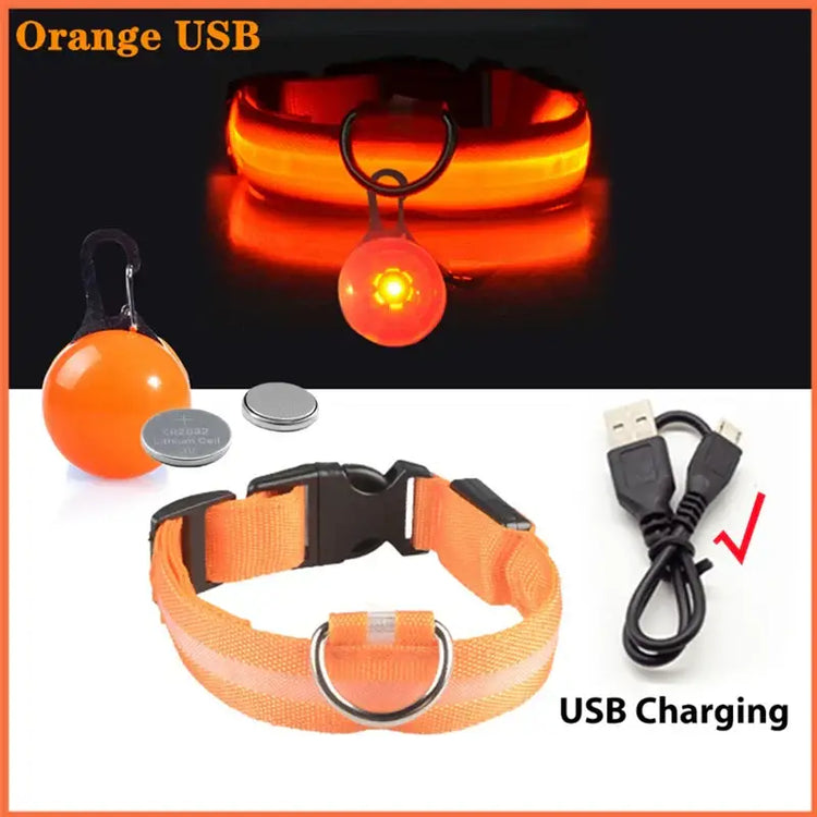 Collier lumineux LED pour animaux de compagnie - Orange USB / S Neck 34-41 CM