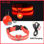 Collier lumineux LED pour animaux de compagnie - Red USB / S Neck 34-41 CM