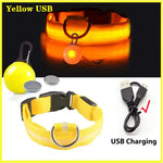 Collier lumineux LED pour animaux de compagnie - Yellow USB / S Neck 34-41 CM