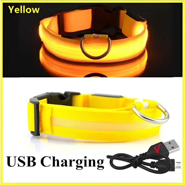 LED Glowing Dog Collar Adjustable Flashing Rechargea Luminous Collar Night Anti-Lost Dog Light HarnessFor Small Dog Pet