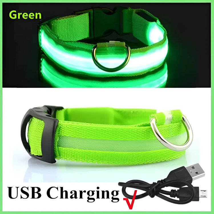 LED Glowing Dog Collar Adjustable Flashing Rechargea Luminous Collar Night Anti-Lost Dog Light HarnessFor Small Dog Pet