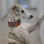 Collier martingale pour chien