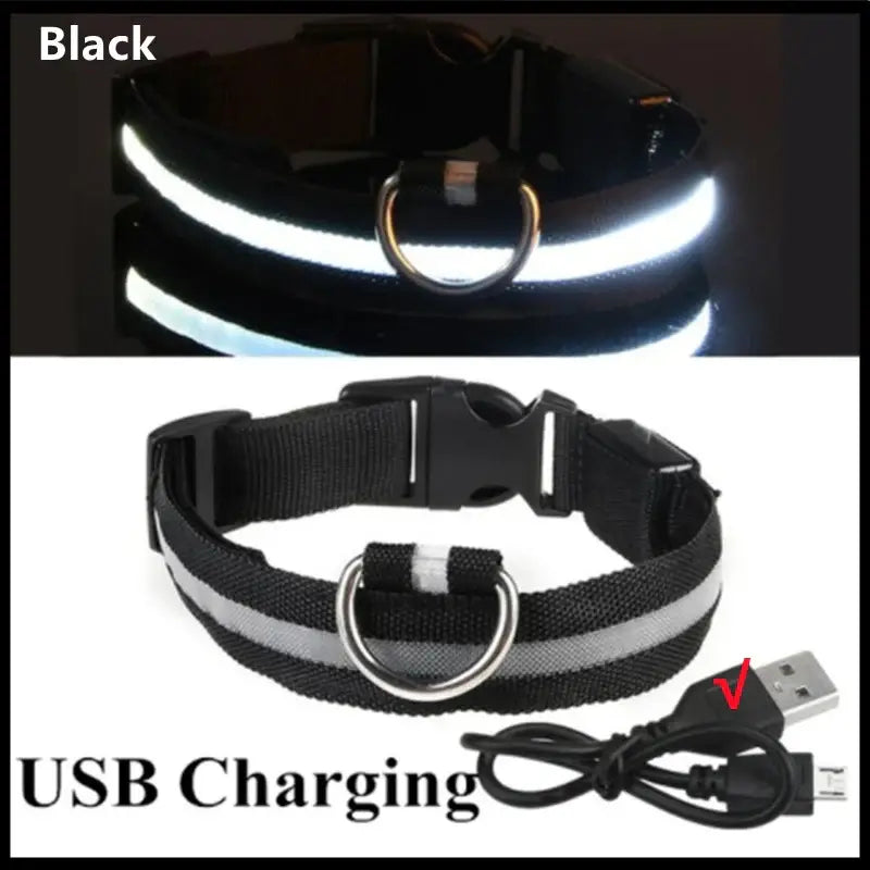 Collier pour animaux de compagnie rechargeable à LED - Black USB Charging / XXL Neck 43-62 cm / China Mainland