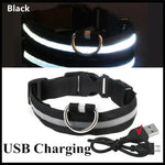 Collier pour animaux de compagnie rechargeable à LED - Black USB Charging / XXL Neck 43-62 cm / China Mainland