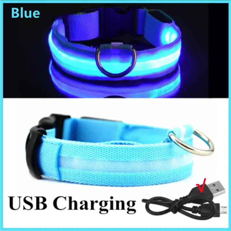 Collier pour animaux de compagnie rechargeable à LED - Blue USB Charging / XS Neck 28-38 cm / China Mainland