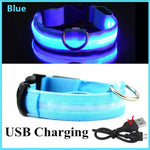 Collier pour animaux de compagnie rechargeable à LED - Blue USB Charging / XS Neck 28-38 cm / China Mainland