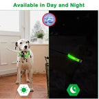 Collier pour animaux de compagnie rechargeable à LED