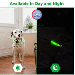 Collier pour animaux de compagnie rechargeable à LED