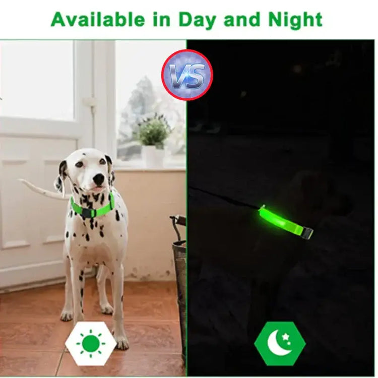Collier pour animaux de compagnie rechargeable à LED