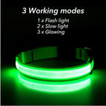Collier pour animaux de compagnie rechargeable à LED