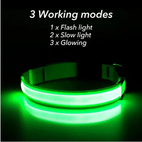 Collier pour animaux de compagnie rechargeable à LED