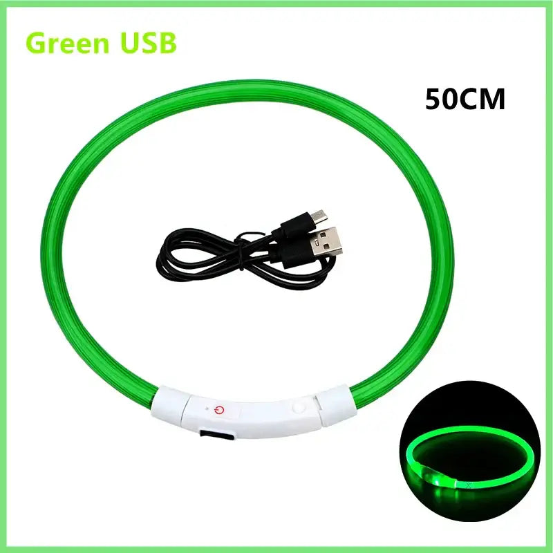 Collier pour animaux de compagnie rechargeable à LED - Green USB Charging 1 / S Neck 34-41 cm / China Mainland