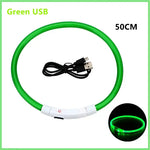 Collier pour animaux de compagnie rechargeable à LED - Green USB Charging 1 / S Neck 34-41 cm / China Mainland