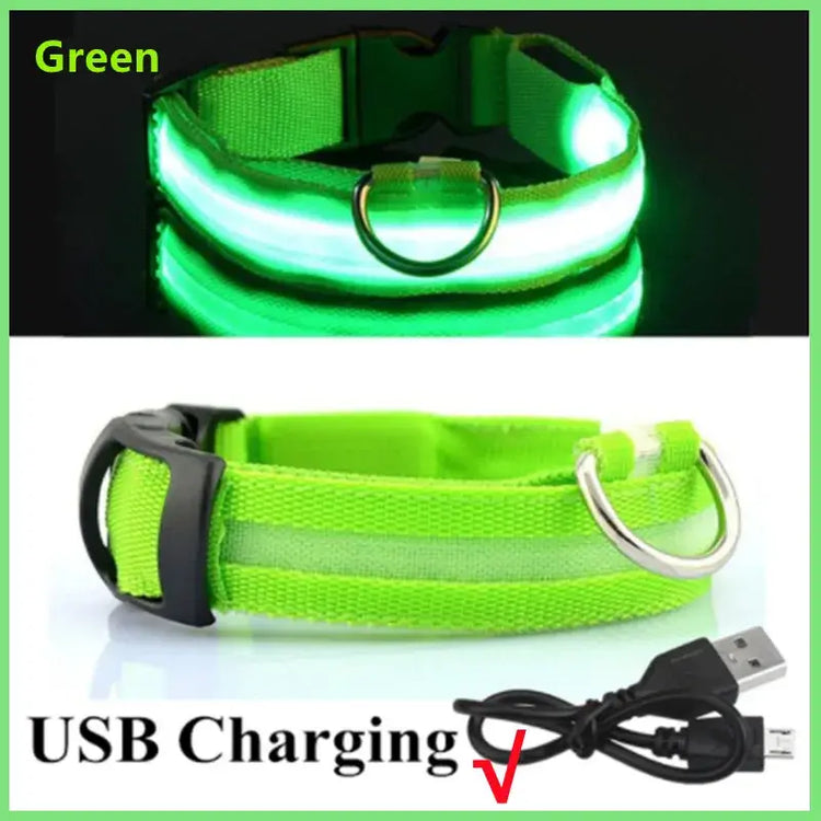 Collier pour animaux de compagnie rechargeable à LED - Green USB Charging / XXL Neck 43-62 cm / China Mainland