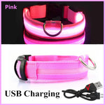 Collier pour animaux de compagnie rechargeable à LED - Pink USB Charging / XXL Neck 43-62 cm / China Mainland