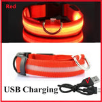 Collier pour animaux de compagnie rechargeable à LED - Red USB Charging / XXL Neck 43-62 cm / China Mainland
