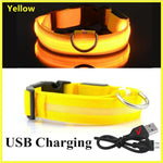 Collier pour animaux de compagnie rechargeable à LED - Yellow USBCharging / XXL Neck 43-62 cm / China Mainland