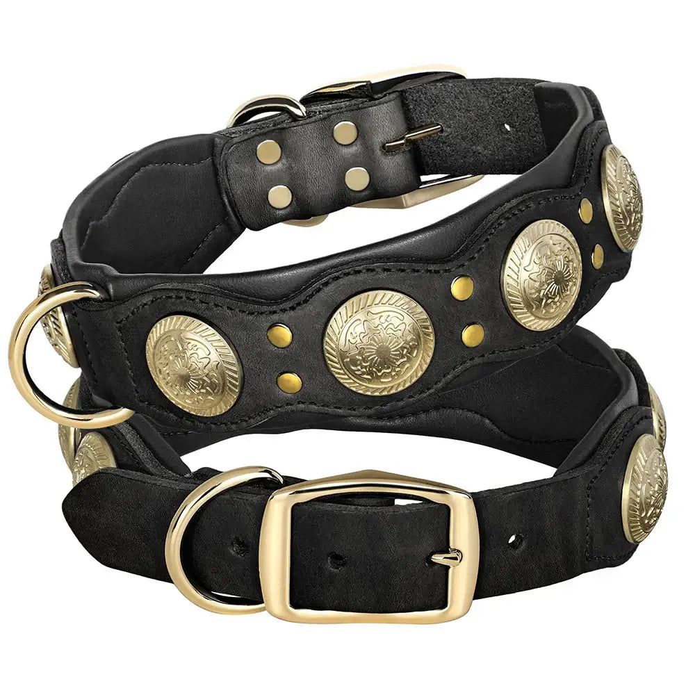 Collier pour chien en cuir véritable - black / L