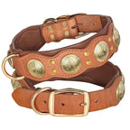 Collier pour chien en cuir véritable - Brown / L