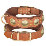 Collier pour chien en cuir véritable