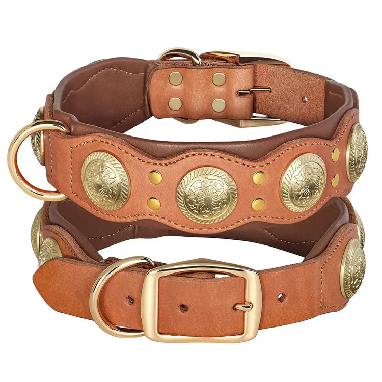 Collier pour chien en cuir véritable