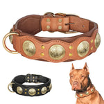 Collier pour chien en cuir véritable