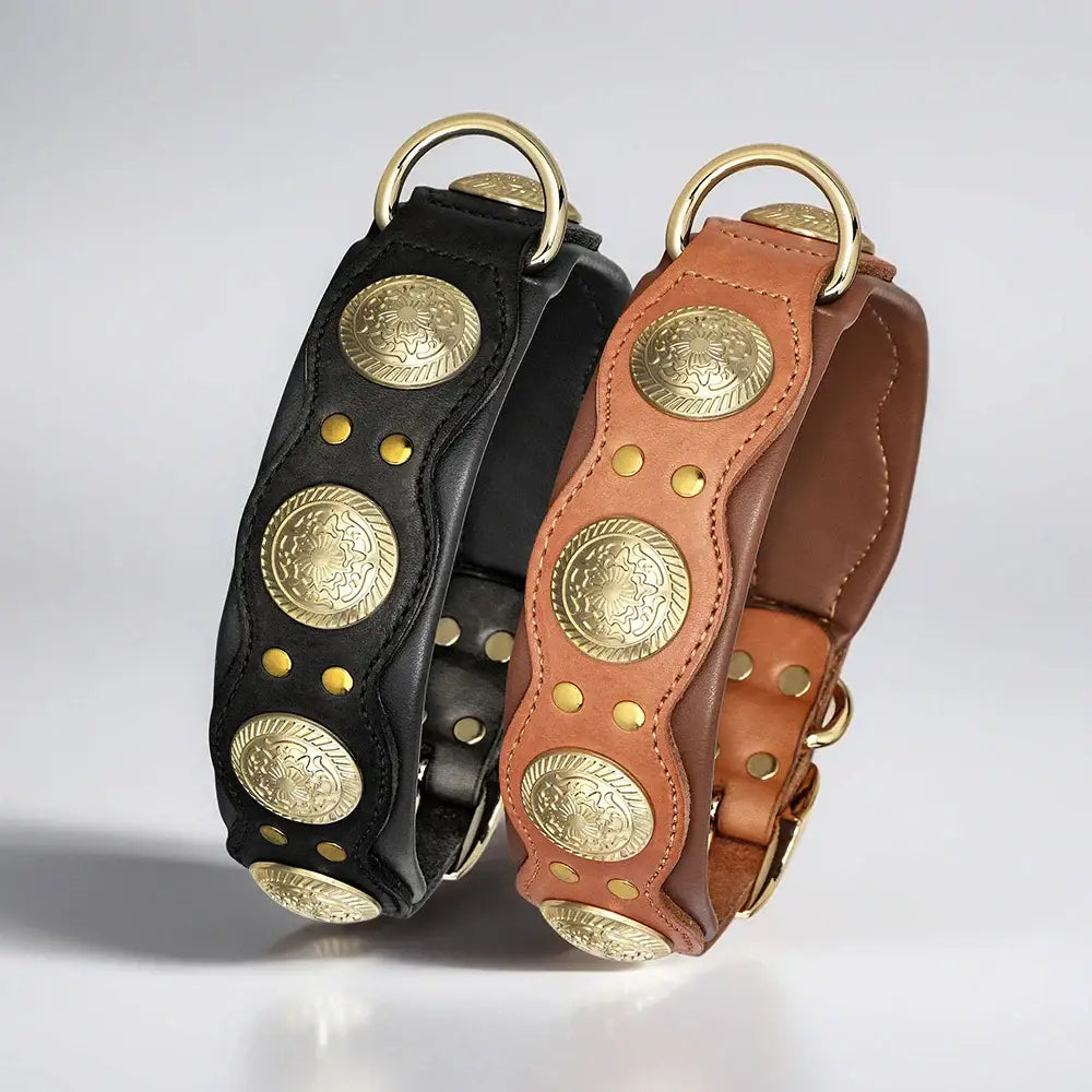 Collier pour chien en cuir véritable