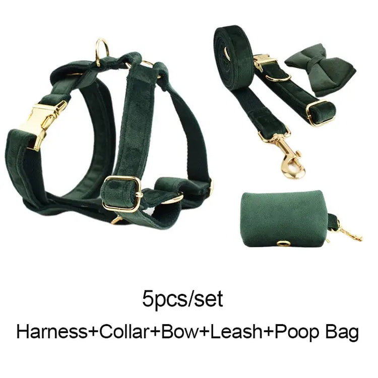Collier pour chien en velours personnalisé - 5Pcs Set / XL