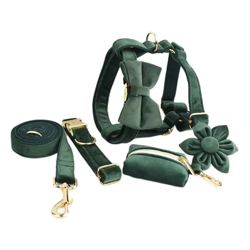 Collier pour chien en velours personnalisé - 6Pcs Set / XL
