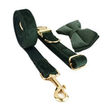 Collier pour chien en velours personnalisé - Bow Collar Leash Set / XL
