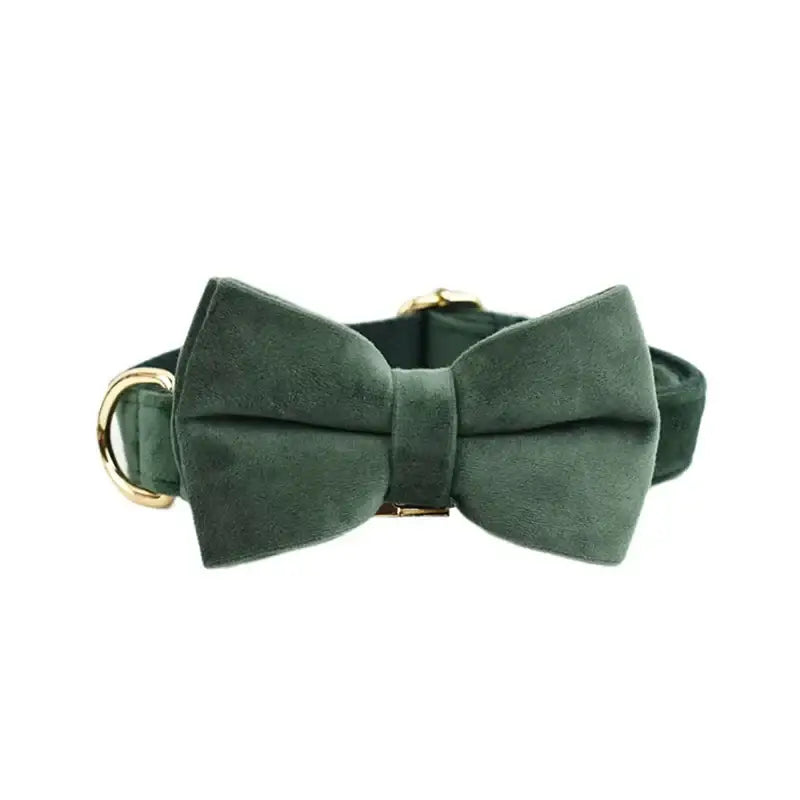 Collier pour chien en velours personnalisé - Bow Collar / XL
