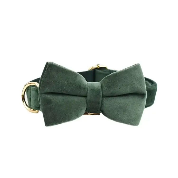 Collier pour chien en velours personnalisé - Bow Collar / XL