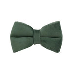 Collier pour chien en velours personnalisé - Bow / XL