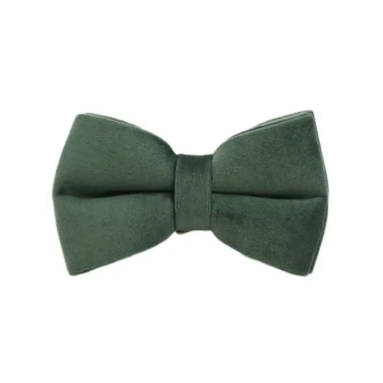 Collier pour chien en velours personnalisé - Bow / XL